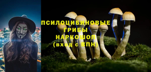 apvp Касимов