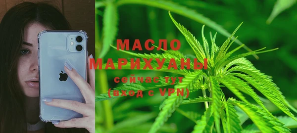 хмурый Каменка