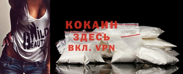хмурый Каменка