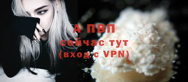 хмурый Каменка