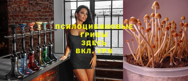 крисы Каменск-Шахтинский