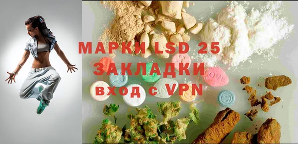 хмурый Каменка