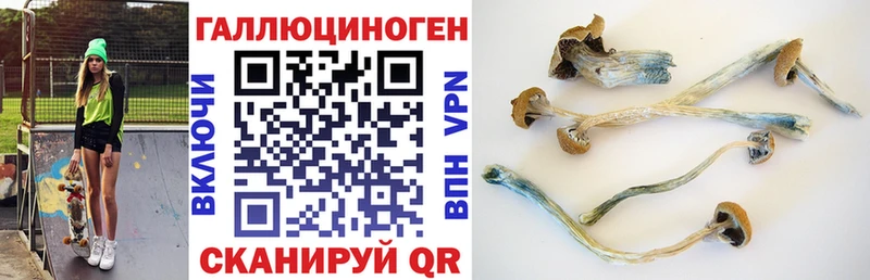 Псилоцибиновые грибы MAGIC MUSHROOMS Карабаново